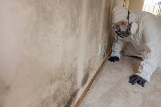 Best Commercial Mold Inspection  in Two Rivers, WI